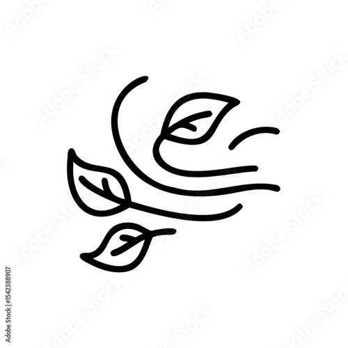 Black Line Drawing Three Leaves Blowing Summer Wind Nature Illustration Handmade Design Element
