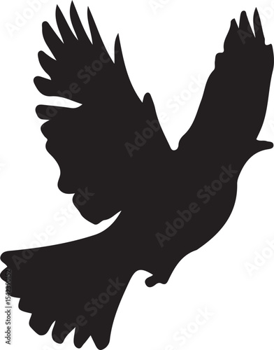 silhouette of a woman