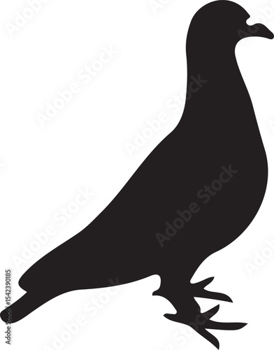 silhouette of a dove