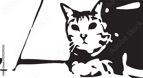 cat and mouse