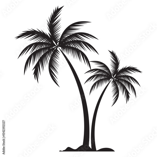 palm tree silhouette isloated