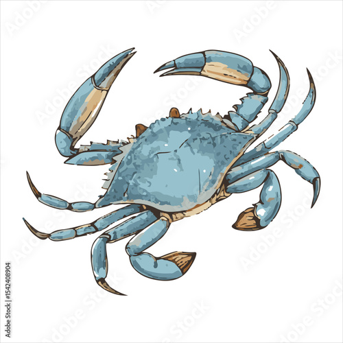 Crabs