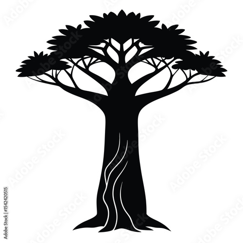 Large Baobab Tree Etched With Independence Motif