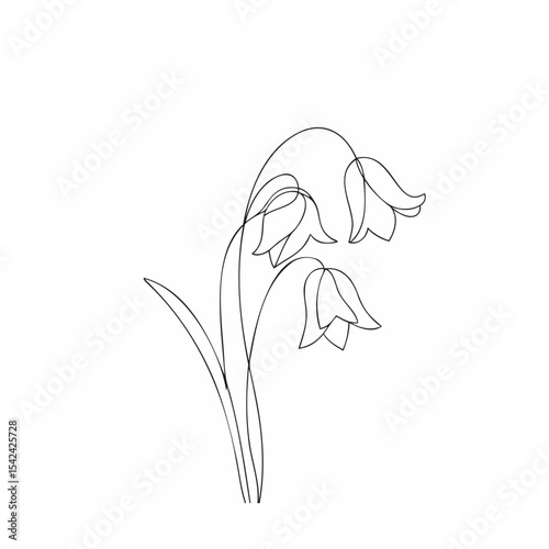 vector illustration of a bluebell flower