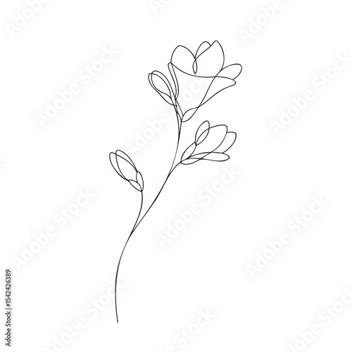 vector illustration of a flower