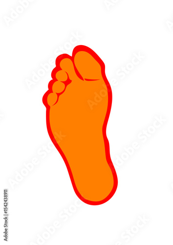 un pied dessin