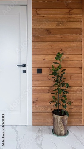 A plant against a wooden wa...