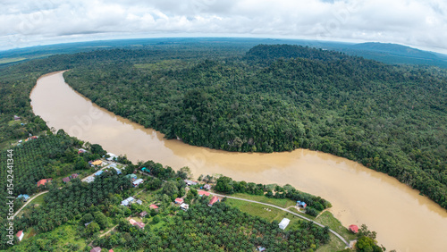 Thick rainforest with a river running through