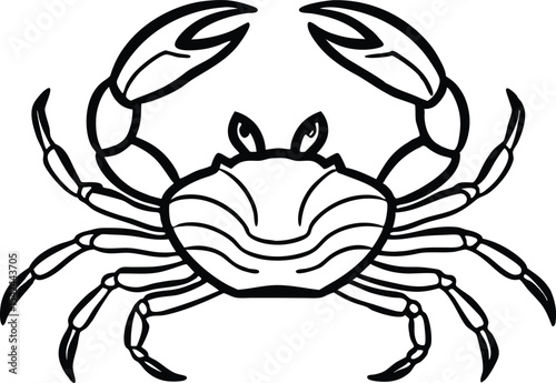 detailed crab illustration, black and white marine animal drawing vector