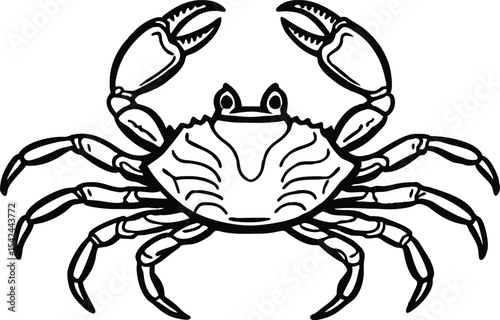 detailed crab illustration, black and white marine animal drawing vector