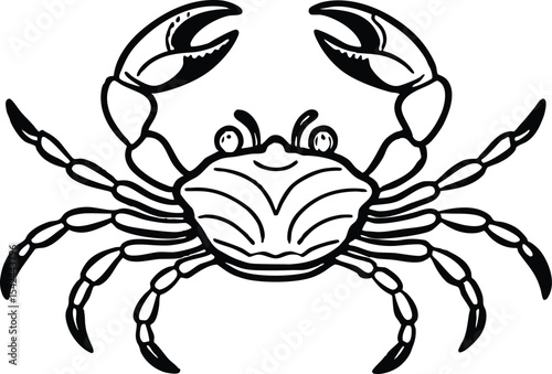 detailed crab illustration, black and white marine animal drawing vector