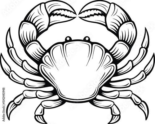 detailed crab illustration, black and white marine animal drawing vector