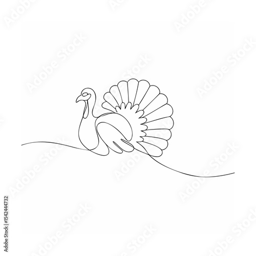 peacock vector illustration