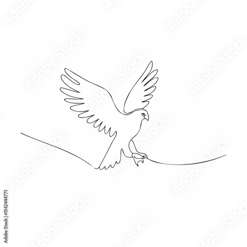 vector illustration of a flying bird