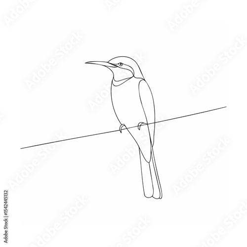 vector illustration of a bird