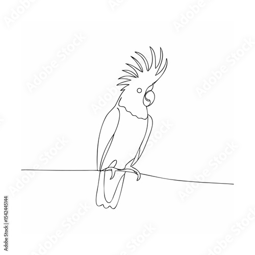 bird on a branch