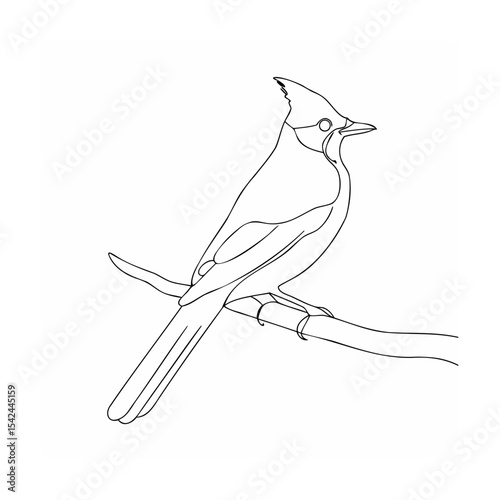 bird on a branch