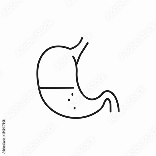 stomach organ icon sign vector
