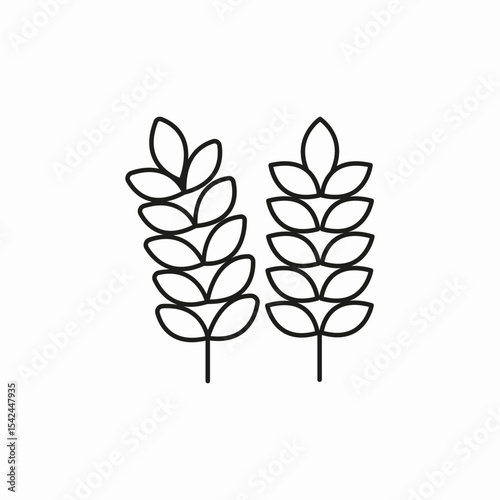 two wheat stalks  icon sign vector