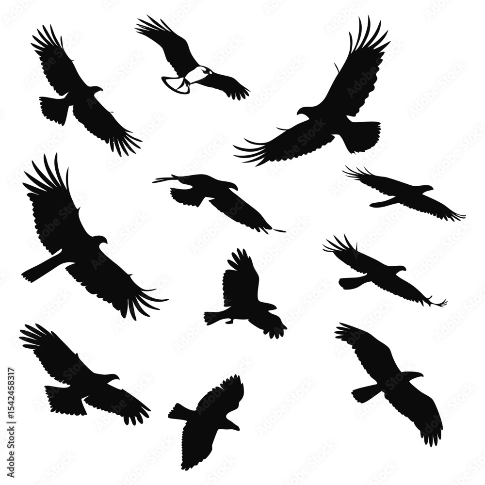 Obraz premium Collection of eagles soaring in the sky in silhouette style