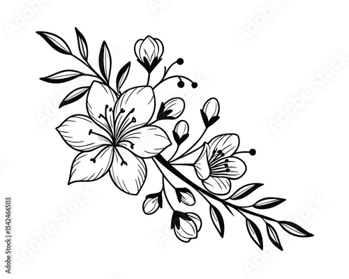 Elegant Black and White Floral Branch Illustration