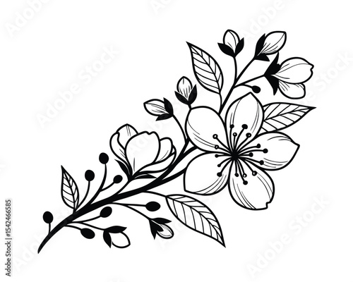 Elegant Black and White Floral Branch Illustration