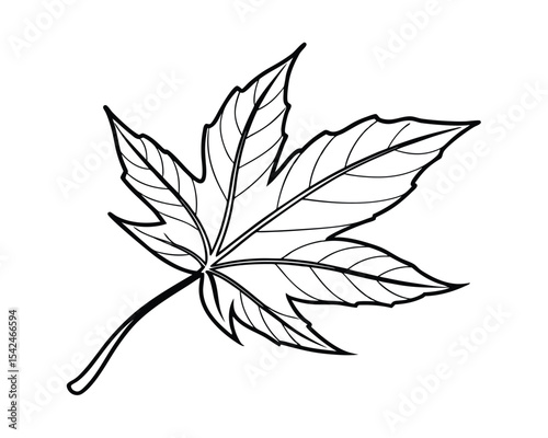 Single Line Drawing of a Detailed Maple Leaf