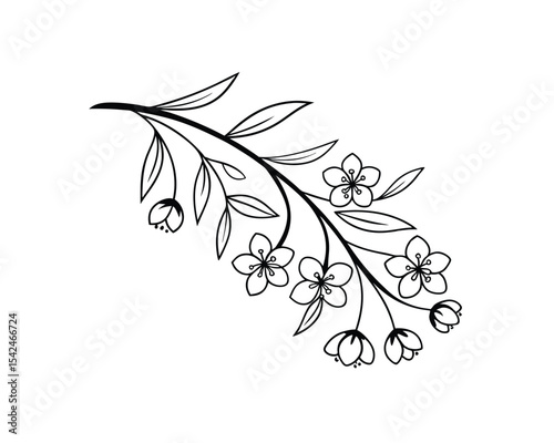 Elegant Black and White Floral Branch Illustration