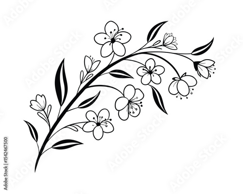 Elegant Black and White Floral Branch with Delicate Flowers