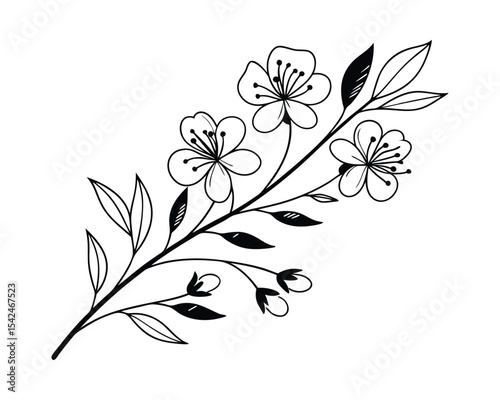 Elegant Black and White Floral Branch Illustration