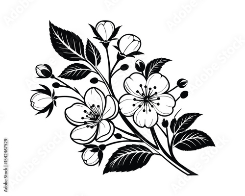 Elegant Black and White Floral Branch with Blossoms