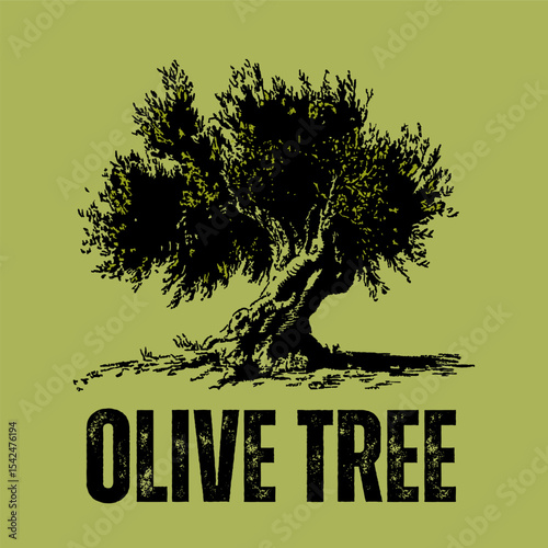 Vintage olive tree illustration, rustic black and green nature art design, perfect for organic and peaceful themes. Vector illustration