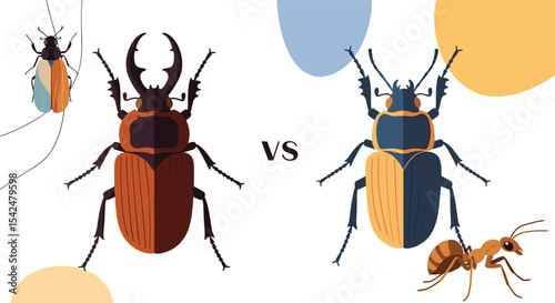 Stag Beetles and Dung Beetles Understanding Diversity and Roles of Coleoptera Insects