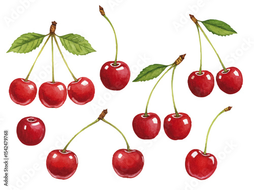 Vector watercolor Cherry / 水彩テイストのさくらんぼイラスト