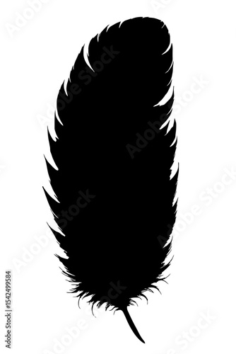 feather isolated on white background