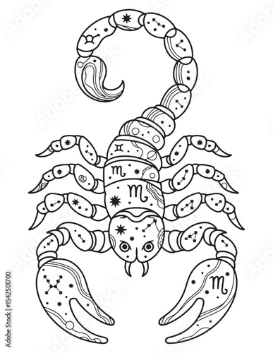 Scorpio Zodiac Sign Scorpion with Moon and Stars Line Art Design
