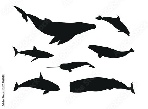 Vector set of flat hand drawn whales silhouette isolated on white background