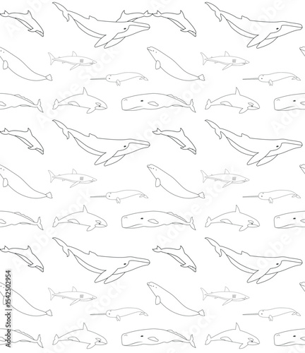 Vector seamless pattern of flat hand drawn outline whales isolated on white background