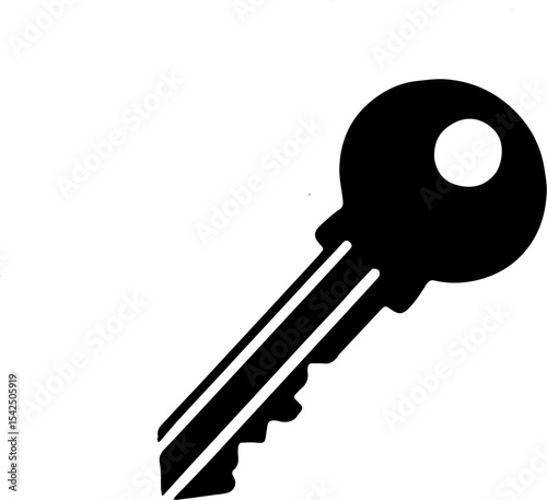 key isolated on white background