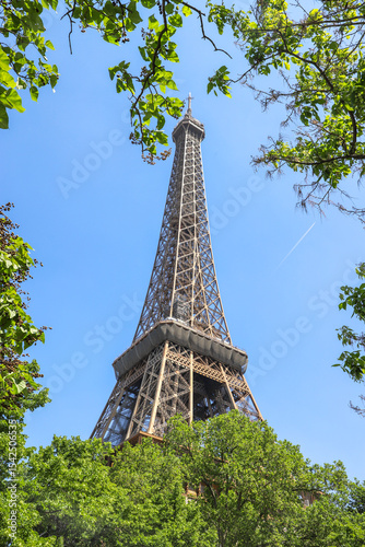 View of the Eiffel Tower, Paris, France on a sunny day - Vista de la Torre Eiffel desde la base entre árboles 