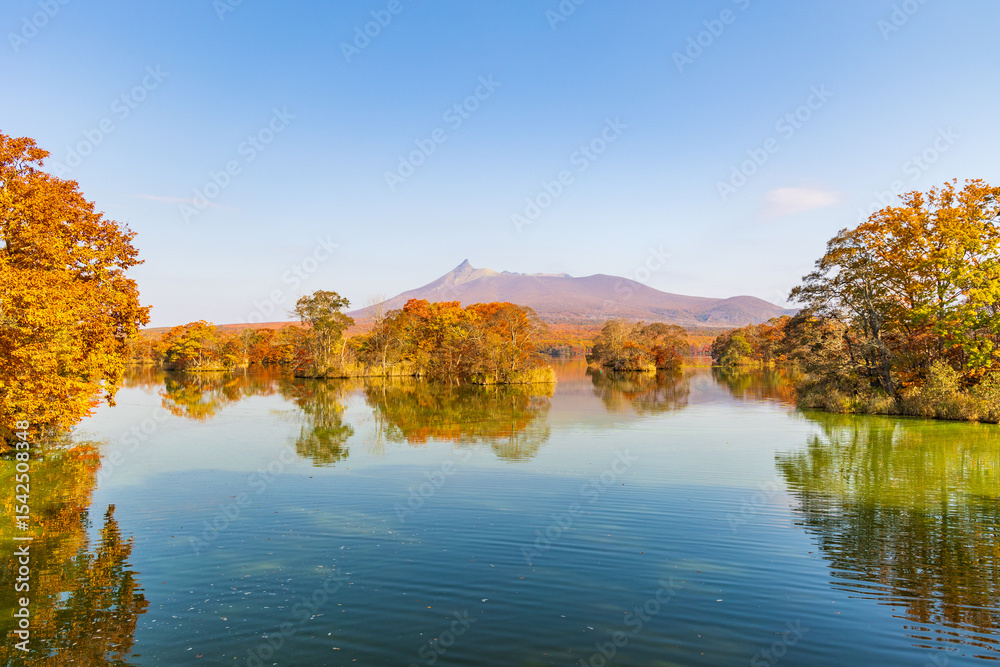 Obraz premium 日本の風景・秋 北海道 紅葉の大沼公園