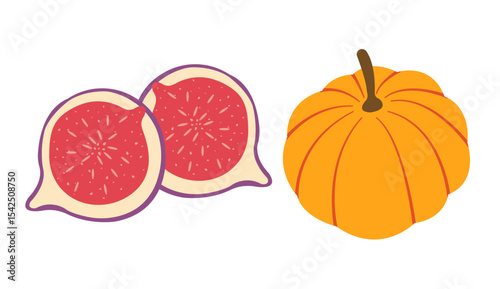 Fall elements vector set: pumpkins, sliced figs in flat design style. Hand drawn autumn set for banners, cards, social media