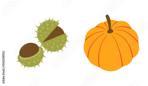 Autumn collection of flat vector elements: pumpkin, chestnuts. Hand drawn set for banners, cards, social media