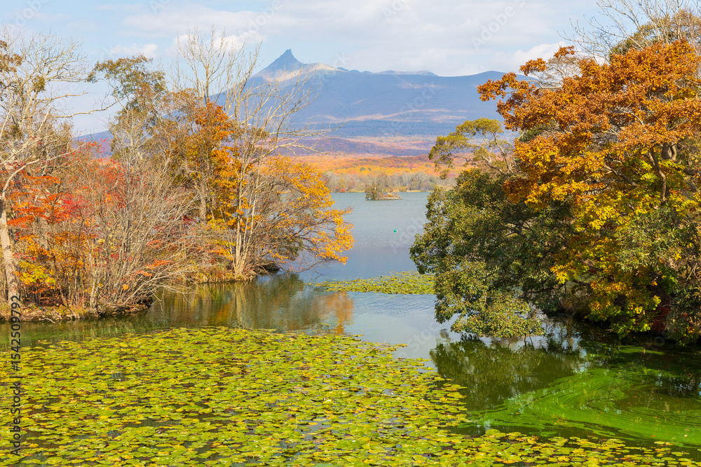 Obraz premium 日本の風景・秋 北海道 紅葉の大沼公園