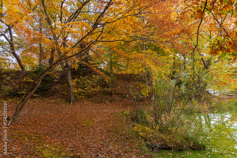 Naklejka premium 日本の風景・秋 北海道 紅葉の大沼公園