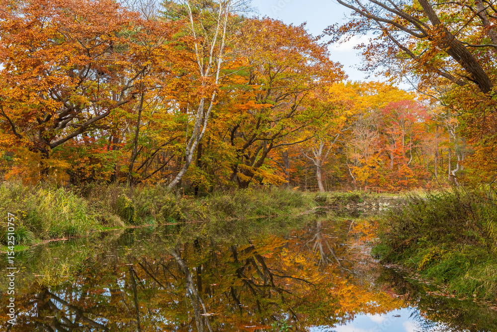 Fototapeta premium 日本の風景・秋 北海道 紅葉の大沼公園