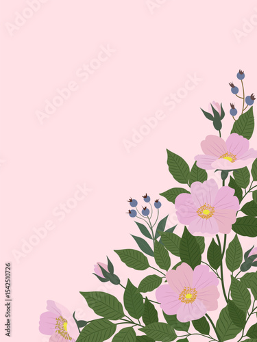 Rosehip flowers with leaves on a pink background. Vector card template for greeting.