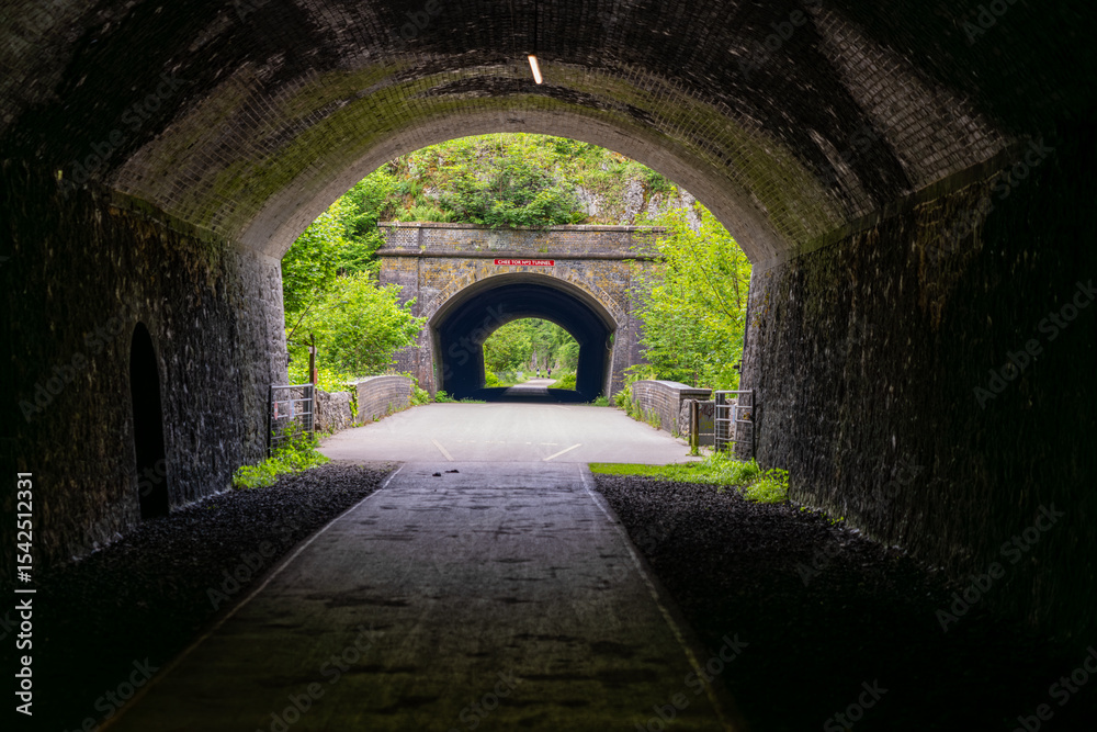 Obraz premium Long dark tunnel leading to a smaller tunnel and green trees in the background