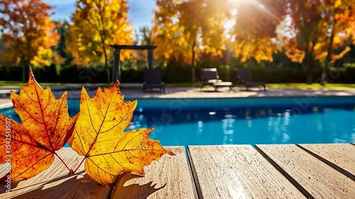 Autumn Poolside Serenity: Two Maple Leaves Resting on Wooden Deck
