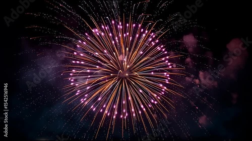 Colorful firework exploding in the night sky